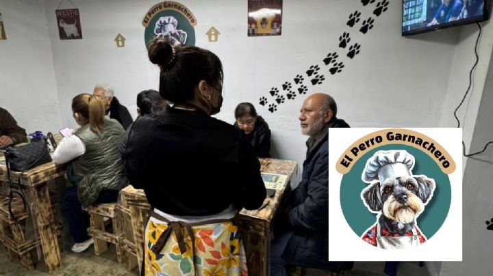 El Perrito Garnachero: antojitos con causa que apoyan a lomitos rescatados en Xalapa