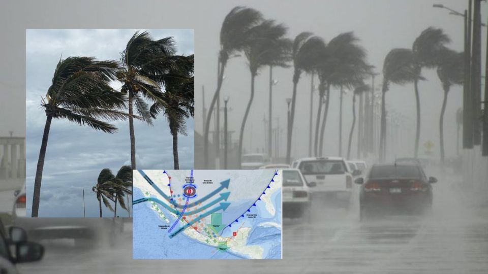 Los 30 municipios de Veracruz con Norte de hasta 105 km/h por el Frente Frío 30 este domingo 25 y lunes 26 de enero