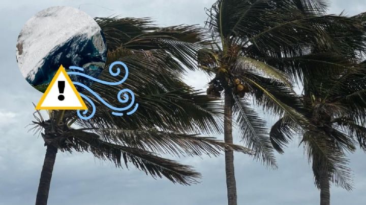 Frente frío 30: así van las rachas del Norte en costas de Veracruz