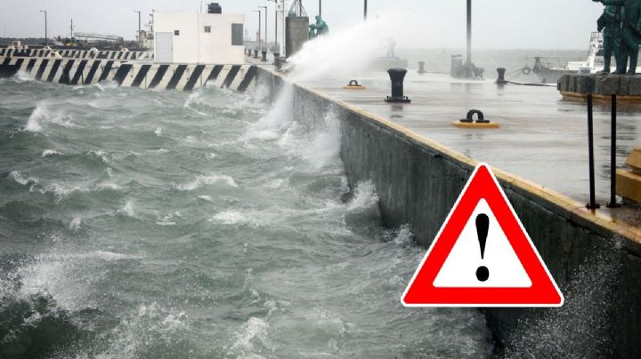 Frente frío 30: así estará el clima en Veracruz hoy 26 de enero con norte de hasta 100 km/h