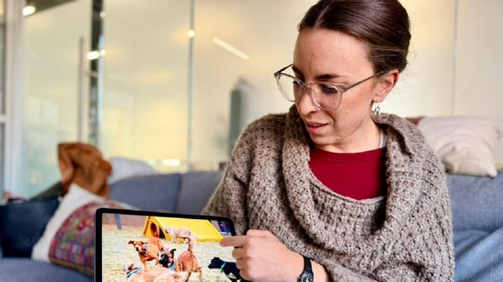 Perros rescatados no regresarán al Refugio Franciscano; no había vida digna: Sedema