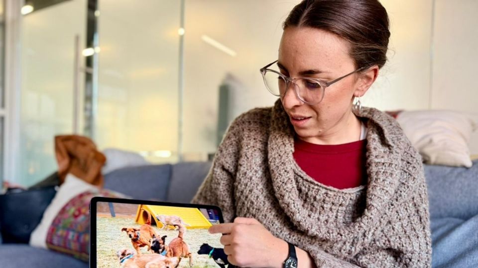 Julia Álvarez Icaza