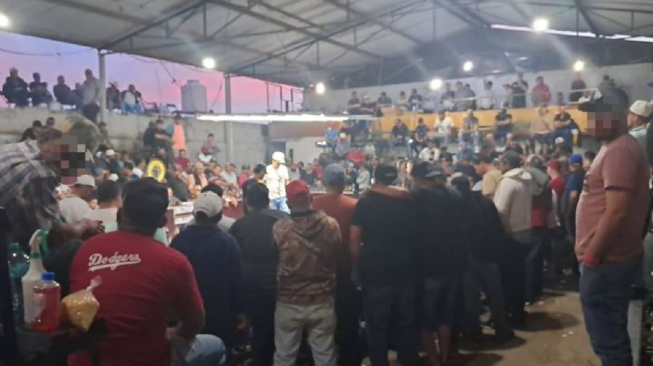 Michoacán: desactivan palenque clandestino de peleas de gallos