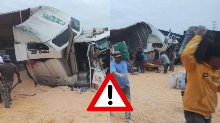 Rapiñan tráiler con granos de maíz tras volcadura en autopista Veracruz - Córdoba