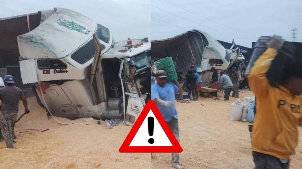 Rapiñan tráiler con granos de maíz tras volcadura en autopista Veracruz - Córdoba