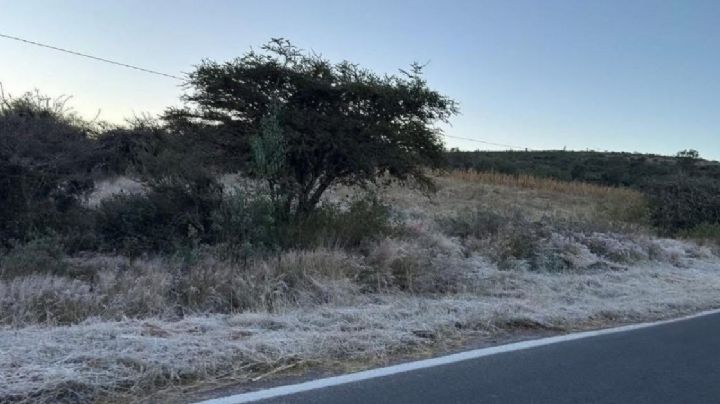 Amanece Victoria  Guanajuato con el suelo tapizado de escarcha