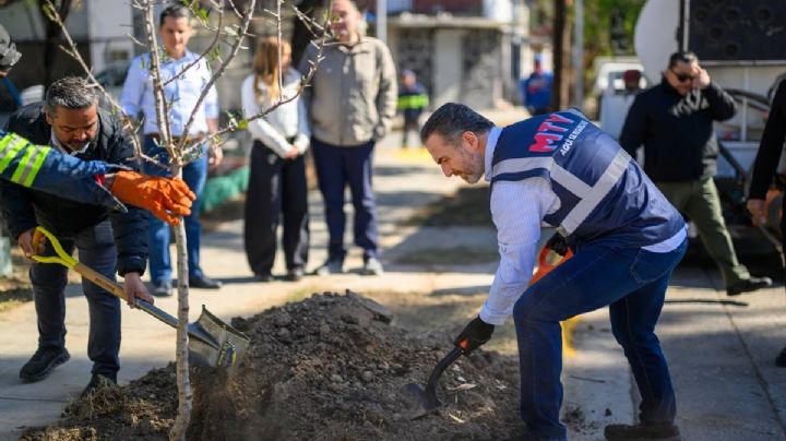 Interviene Monterrey colonia Hidalgo con acciones de limpieza y mantenimiento urbano