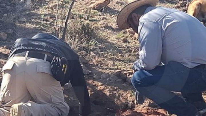 Fosa clandestina en Querétaro: hallan cobijas rosas y huesos en chamarra