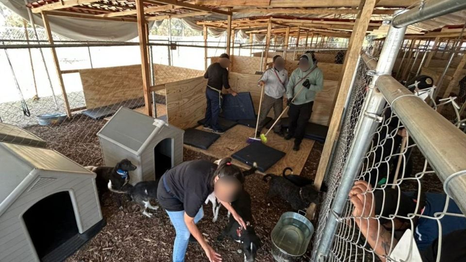 Refugio Franciscano ingresa a la Brigada de Vigilancia Animal por 60 minutos y sin realizar censo