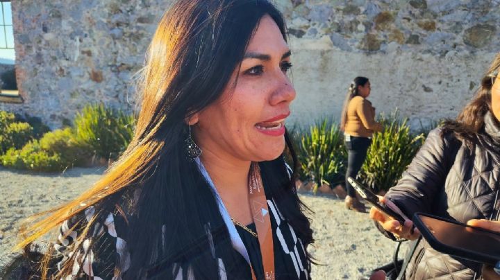 Quienes están en contra del parque solar es por falta de información: alcaldesa de Singuilucan