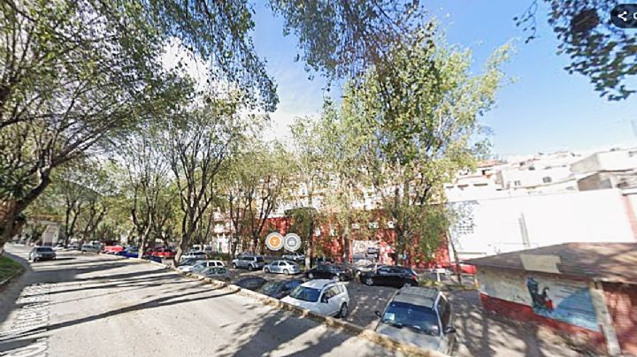 Alcaldía de Pachuca prevé derribar más de 15 árboles para habilitar espacio de ambulantes