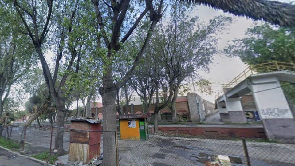 El árbol medía más de 20 metros y por poco aplastaba vehículos