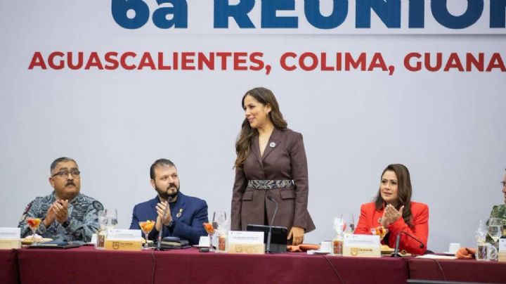 Participa Libia Dennise en reunión de seguridad con estados del centro del país