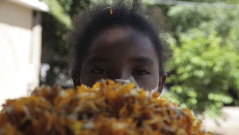 La deuda con nuestra raíz cultural africana