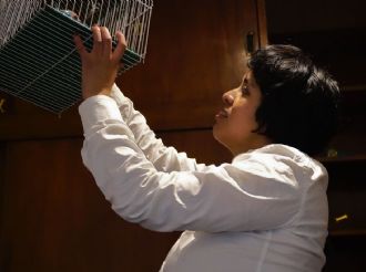 Conoce la nueva temporada escénica de Petit Teatro