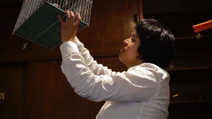 Conoce la nueva temporada escénica de Petit Teatro