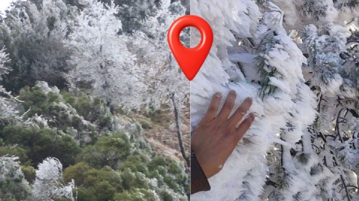 El pueblo de Veracruz que se cubrió de hielo hoy 31 de enero; a 1 hora de Xalapa