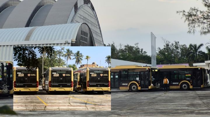 Camiones Ulúa conservarán las mismas rutas y tarifas en Veracruz-Boca del Río: Nahle