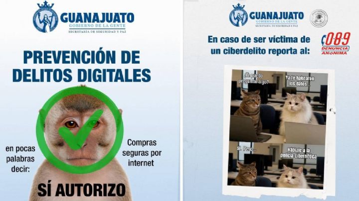 Fraude por regalos de Día de Reyes saquea tarjetas en Guanajuato