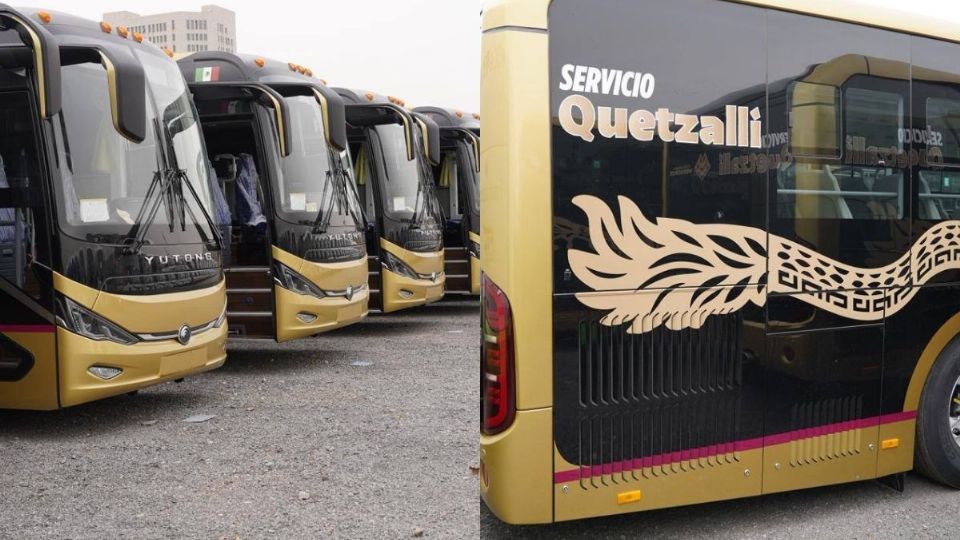 Autobuses Quetzalli ya están en México; serán enviados al puerto de Coatzacoalcos, Veracruz, para comenzar a operar