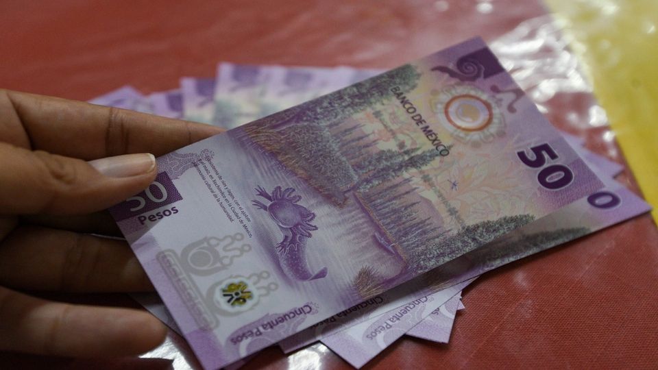 El Pago de Marcha está disponible en la Pensión para el Bienestar de las Personas Adultas Mayores, la Pensión el Bienestar de las Personas con Discapacidad y la Pensión Mujeres Bienestar.