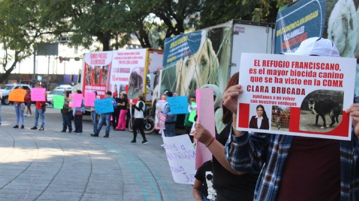 Activistas del Refugio Franciscano marchan al Zócalo para exigir devolución de animales