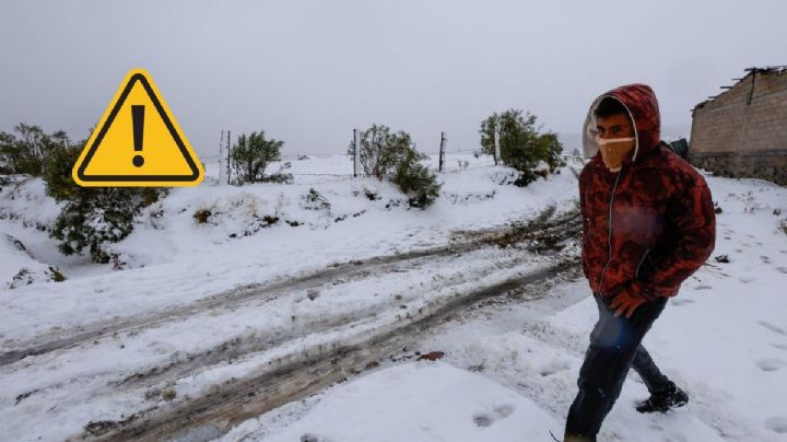 ¿Cuántas personas murieron por frío en Veracruz en invierno 2025-2026?