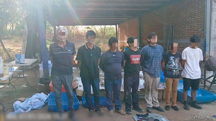 Marina desmantela narcolaboratorio y asegura bodega presuntamente de Los Chapitos en Sinaloa