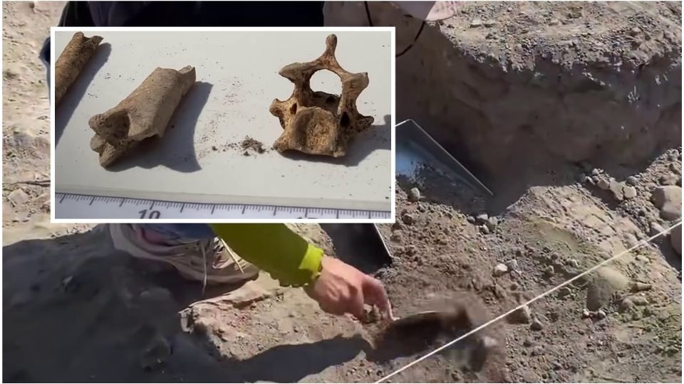 Los hallazgos arqueológicos se encuentran en estudio por el INAH