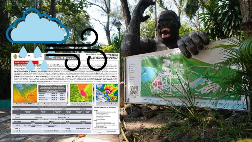 Por frente frío 27 en Veracruz estos días cierran el Zoológico Miguel Ángel de Quevedo