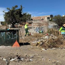 Limpian baldíos en Rizos de las Joyas donde fue acuchillada una estudiante de 13 años