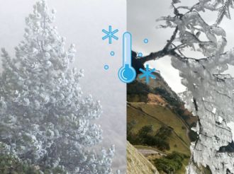 Suman 5 días de heladas en Veracruz; continuarán frío y cencelladas