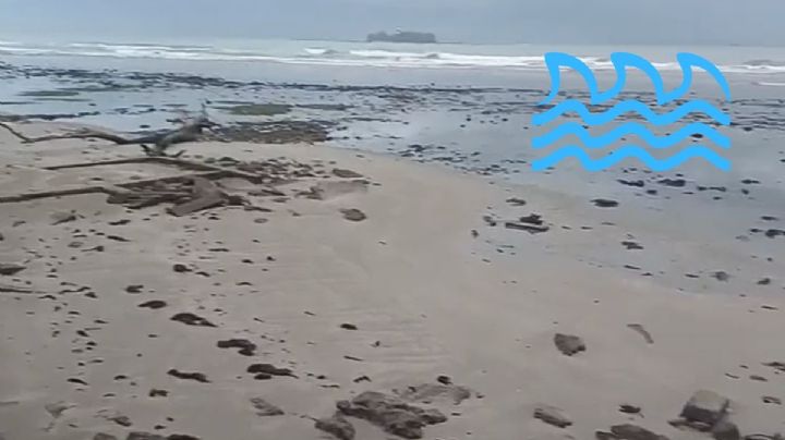 Por esta razón retrocedió el mar en playas de Veracruz - Boca del Río