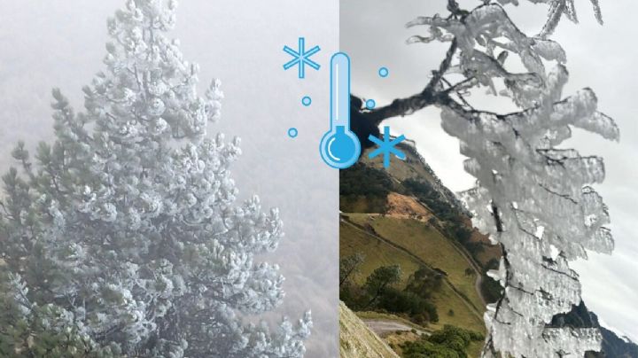 Suman 5 días de heladas en Veracruz; continuarán frío y cencelladas