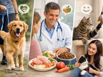 3 claves para mejorar el bienestar de perros y gatos, según expertos