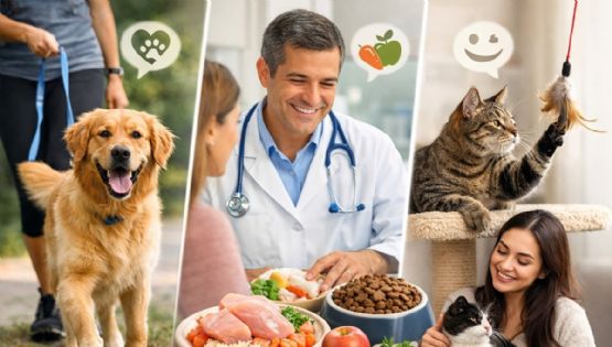 3 claves para mejorar el bienestar de perros y gatos: ejercicio, nutrición y salud emocional