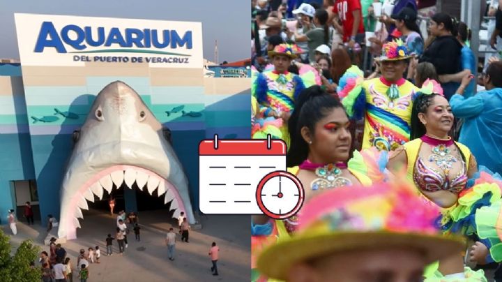 Por Carnaval, ajustan horarios de visitas en el Aquarium de Veracruz estos días