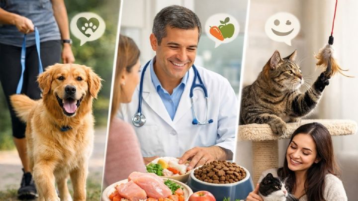 3 claves para mejorar el bienestar de perros y gatos: ejercicio, nutrición y salud emocional