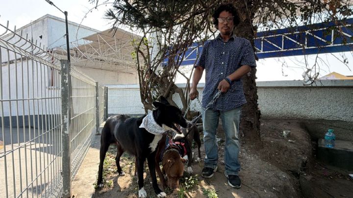 Deportado por el ICE regresa a Xalapa con sus 3 perros: ADO le niega boleto en Tampico