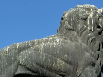 Al León del Arco de la Calzada: le escurre excremento de palomas