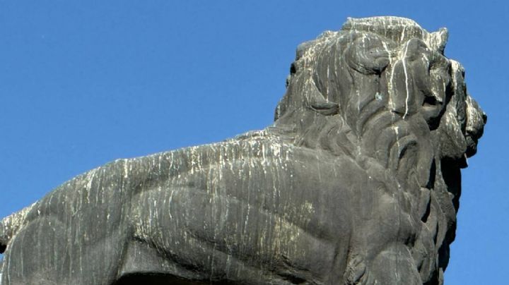 Al León del Arco de la Calzada: le escurre excremento de palomas