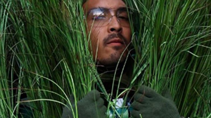 Disfraz viral de “arbusto” del Super Bowl LX de Bad Bunny se vende en eBay por 5 mil dólares