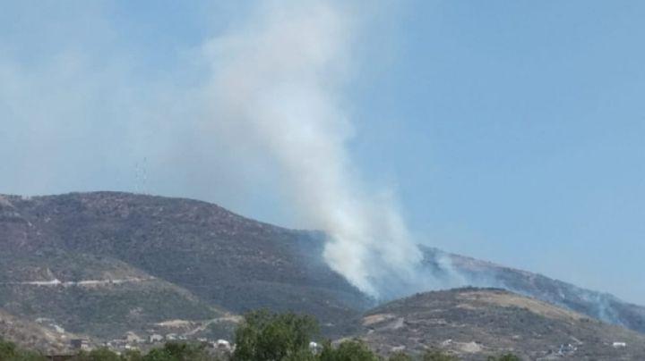 Reportan múltiples incendios en la Sierra de Lobos y zonas altas de León este 14 de febrero  /VIDEO