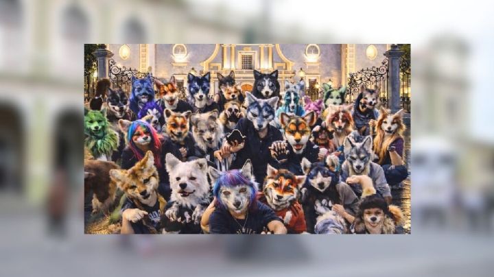 Los "Therian" llegan a Veracruz: mega convivio en Córdoba este día