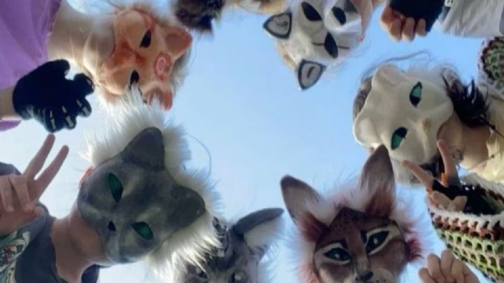 ¿Quiénes son los ‘therians’?: la identidad animal que gana fuerza en redes y plazas públicas
