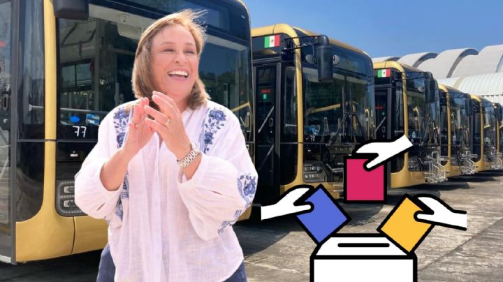 Consulta Popular Xalapa: el ABC para opinar sobre aumento a pasaje y renovación de unidades