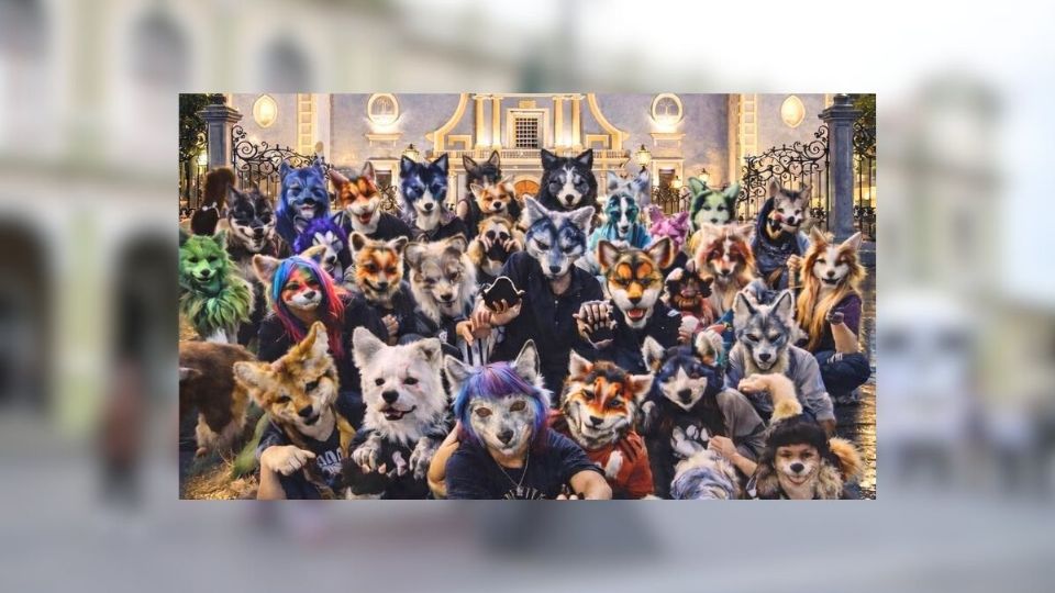 Los Therian llegan a Veracruz organizan en Córdoba mega convivio de personas que se identifican como animales