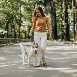 ¿Por qué pasear a tu perro 30 minutos al día mejora su salud? Beneficios y cuidados