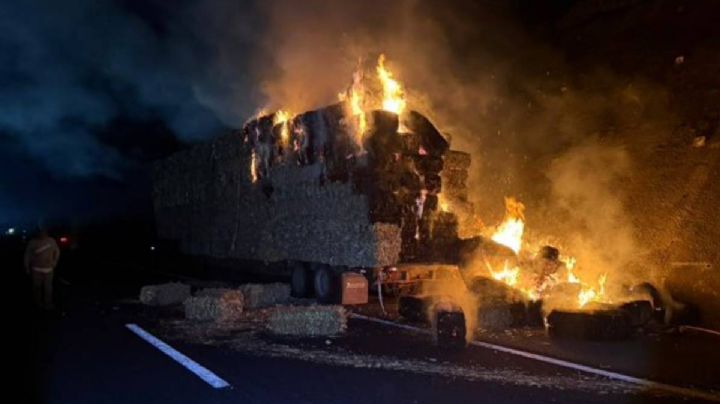 Carretera Perote-Banderilla: incendio de tractocamión provoca cierre total de vialidad rumbo a Xalapa