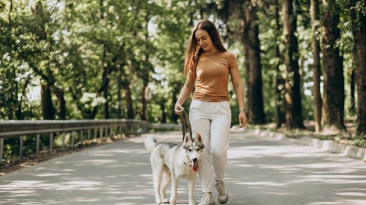 ¿Por qué pasear a tu perro 30 minutos al día mejora su salud? Beneficios y cuidados